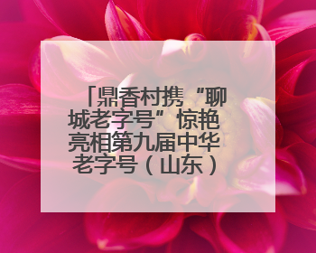 鼎香村携“聊城老字号”惊艳亮相第九届中华老字号（山东）博览会