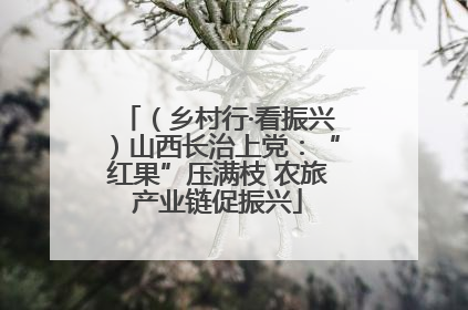 (乡村行·看振兴)山西长治上党:“红果”压满枝 农旅产业链促振兴