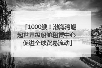 1000艘！渤海湾崛起世界级船舶租赁中心 促进全球贸易流动