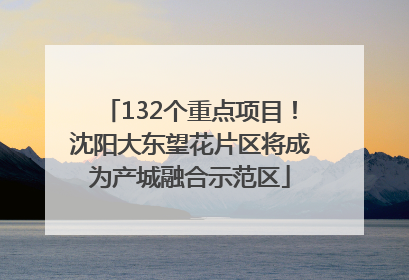 132个重点项目！沈阳大东望花片区将成为产城融合示范区