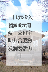 1元投入撬动8元消费！支付宝助力合肥激发消费活力