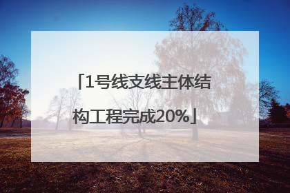 1号线支线主体结构工程完成20%