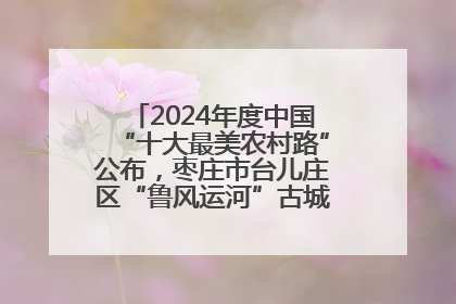 2024年度中国“十大最美农村路”公布，枣庄市台儿庄区“鲁风运河”古城文化廊道上榜！