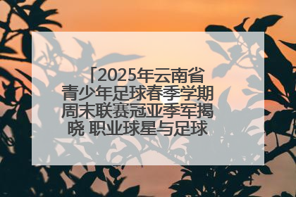 2025年云南省青少年足球春季学期周末联赛冠亚季军揭晓 职业球星与足球小将共享荣耀时刻