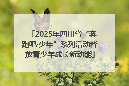 2025年四川省“奔跑吧·少年”系列活动释放青少年成长新动能