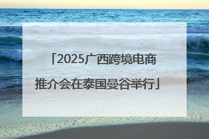 2025广西跨境电商推介会在泰国曼谷举行