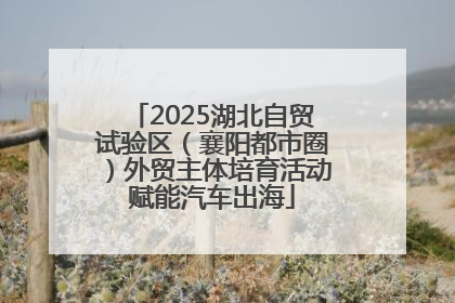 2025湖北自贸试验区（襄阳都市圈）外贸主体培育活动赋能汽车出海