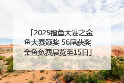 2025福鱼大赛之金鱼大赛颁奖 56尾获奖金鱼免费展览至15日