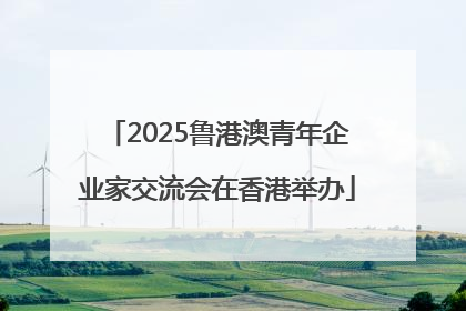 2025鲁港澳青年企业家交流会在香港举办