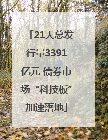 21天总发行量3391亿元 债券市场“科技板”加速落地