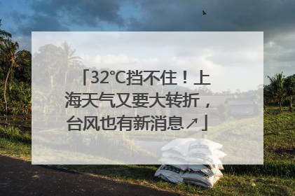 32℃挡不住！上海天气又要大转折，台风也有新消息↗