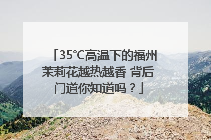 35℃高温下的福州茉莉花越热越香 背后门道你知道吗？