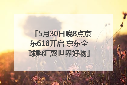 5月30日晚8点京东618开启 京东全球购汇聚世界好物