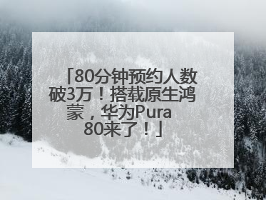80分钟预约人数破3万！搭载原生鸿蒙，华为Pura 80来了！