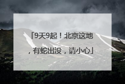9天9起！北京这地，有蛇出没，请小心