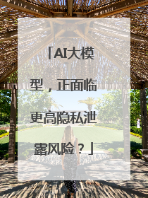 AI大模型，正面临更高隐私泄露风险？