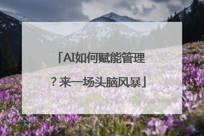 AI如何赋能管理？来一场头脑风暴