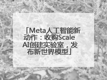 Meta人工智能新动作：收购Scale AI创建实验室，发布新世界模型